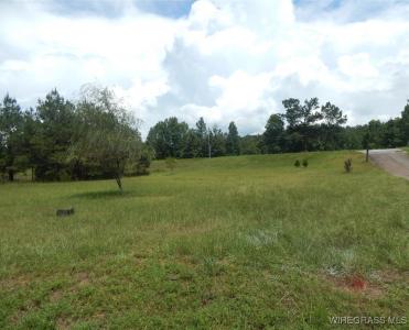 5477 W Highway 134, Daleville, Alabama 36322