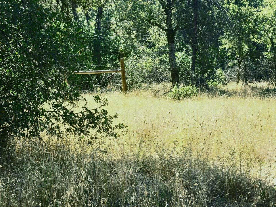 48 Rices Texas Hill Road, Oregon House, Kalifornien 95962, USA