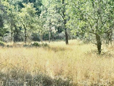 48 Rices Texas Hill Road, Oregon House, Kalifornien 95962, USA