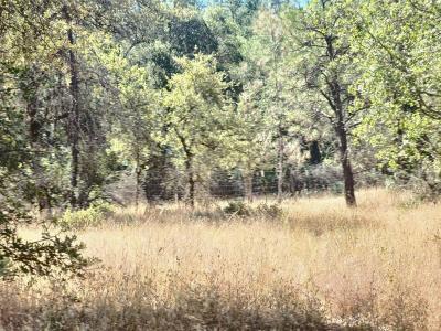 48 Rices Texas Hill Road, Oregon House, Kalifornien 95962, USA