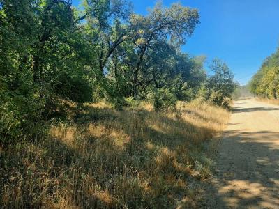 48 Rices Texas Hill Road, Oregon House, California 95962, USA