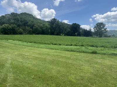 32451 County Road F, Blue River, Wisconsin 53518, Stati Uniti