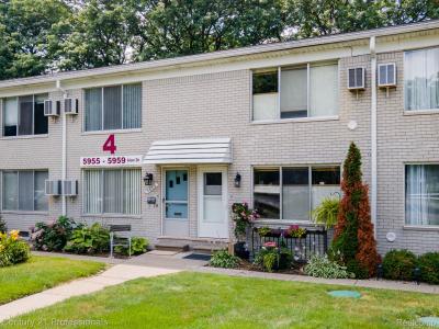 5959 Alan Drive #56, Brighton, Michigan 48116