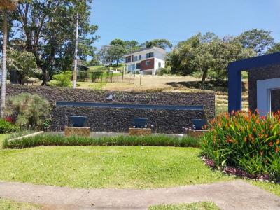 Naranjo Naranjo, Alajuela 40103, Costa Rica