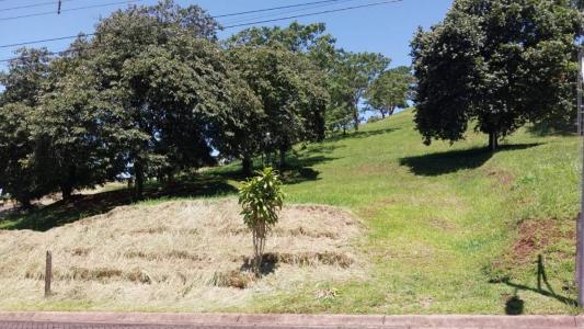 Naranjo Naranjo, Alajuela 40103, Costa Rica