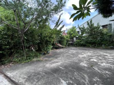 南鄉路, 南投市, 南投縣 540, 台灣
