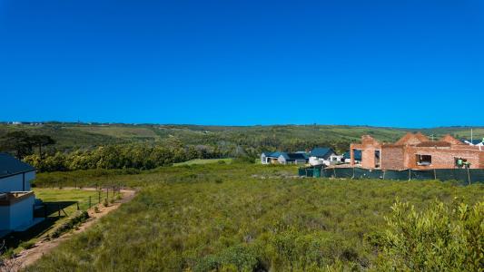 Plettenberg Bay, Western Cape, דרום אפריקה 