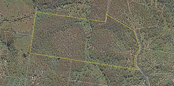 74 Summerholm Road, Summerholm, QLD 4341, Australia