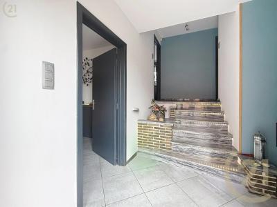 Rue Pierre Lemoine 10, Blaton, 7321, Belgique