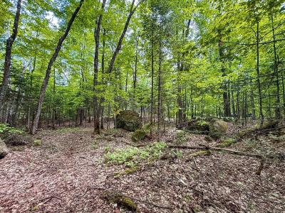 Rue du Cottage, Morin-Heights, Quebec J0R 1H0, Canada