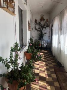 Arenales 29, Sucre, Chuquisaca 00001, Боливия