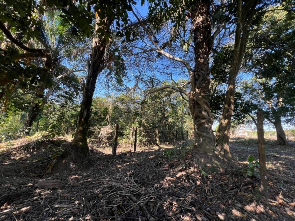 Moxos, Beni 00001, Boliwia