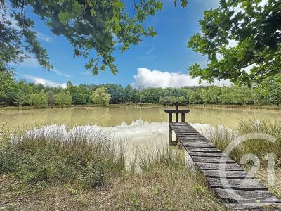 Ardon, Centre 45160, France