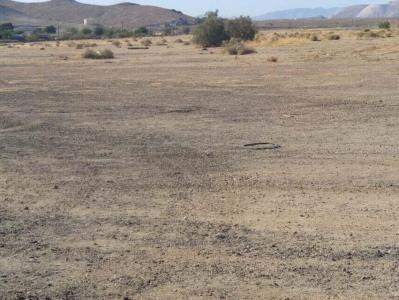 1605 W Rosamond Blvd. Boulevard APN 251-060-08, Rosamond, California 93560, HOA KỲ