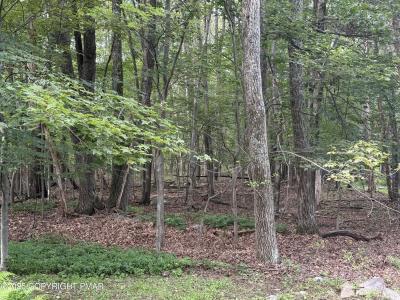 Poplar Ln 33, Kunkletown, Pennsylvania 18058, Estados Unidos