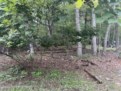 Poplar Ln 33 Lane, Kunkletown, بنسلفانيا 18058, الولايات المتحدة