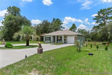 9810 N Angela Drive, Citrus Springs, Florida 34433, Stati Uniti
