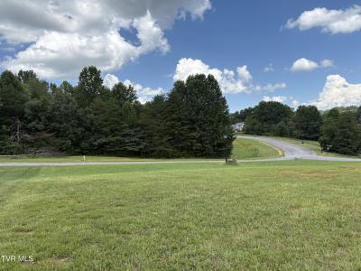 .92 Ac Bedford Circle, Greeneville, Tennessee 37743, Estados Unidos