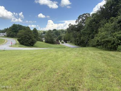 .92 Ac Bedford Circle, Greeneville, Tennessee 37743, Estados Unidos