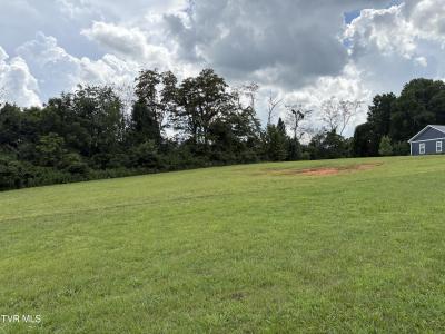 .92 Ac Bedford Circle, Greeneville, Tennessee 37743, Estados Unidos
