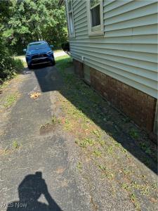 1596 Wood Road, Cleveland Heights, 俄亥俄州 44121, 美國
