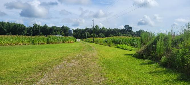12205 Old US 70 Highway, Cove City, Caroline Du Nord 28523, États-Unis