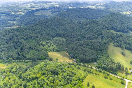 Brookgreen Road, Mouth Of Wilson, Virginia 24363, Stati Uniti
