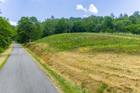 Brookgreen Road, Mouth Of Wilson, Virginia 24363, USA