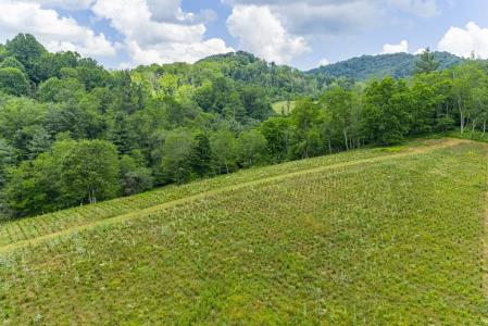 Brookgreen Road, Mouth Of Wilson, Virginia 24363, Stati Uniti