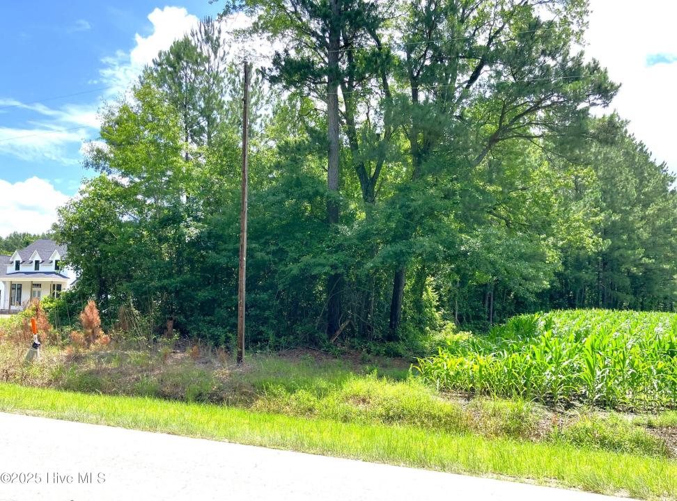 294 Springhill Road, Maysville, Северная Каролина 28555, Соединенные Штаты