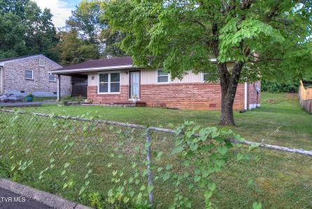 610 Bingham Street, Elizabethton, 田纳西州 37643, 美国