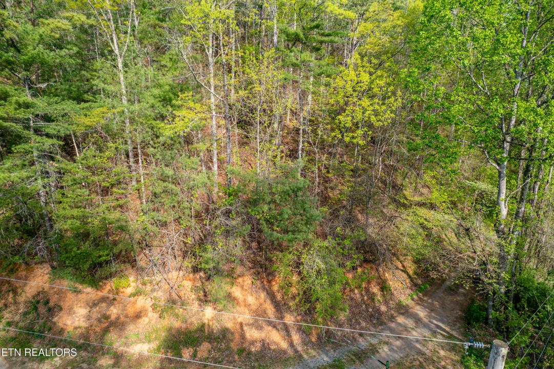 240 Mt. Luke Rd, Townsend, Tennessee 37882, Estados Unidos