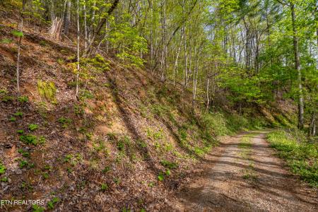 240 Mt. Luke Rd, Townsend, Tennessee 37882, Estados Unidos