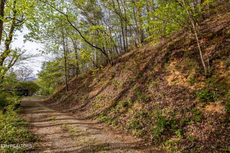 240 Mt. Luke Rd, Townsend, Tennessee 37882, Estados Unidos