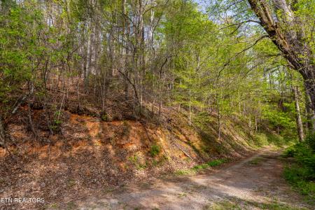 240 Mt. Luke Rd, Townsend, Tennessee 37882, USA