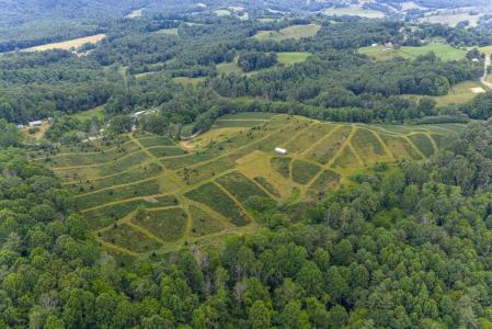 Flatridge Road, Troutdale, Virginia 243748, Estados Unidos