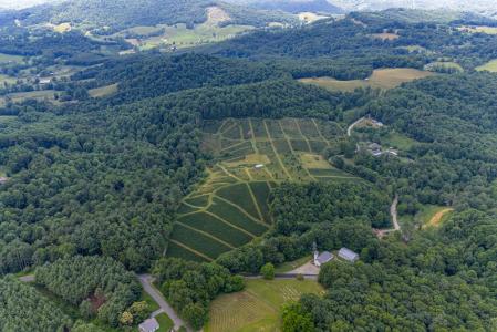 Flatridge Road, Troutdale, Virginia 243748, Estados Unidos