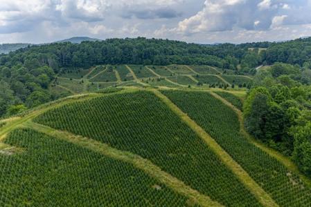 Flatridge Road, Troutdale, Virginia 243748, Estados Unidos