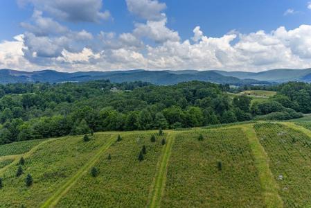 Flatridge Road, Troutdale, Virginia 243748, Estados Unidos