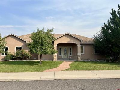 1624 Election Way, Montrose, Colorado 81401, USA