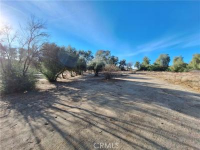 71 Juniper Flats Rd, Nuevo, California 92567, USA