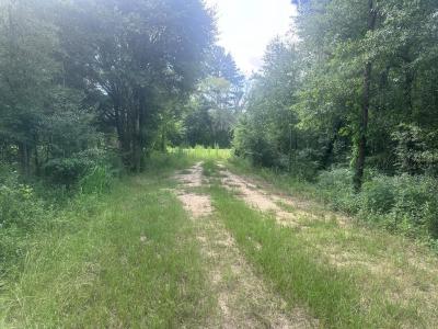 708 GA HWY 118, Leslie, Georgia 31764, USA