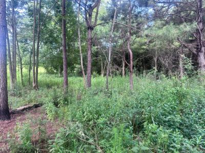 708 GA HWY 118, Leslie, Geórgia 31764, Estados Unidos