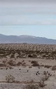 0 Jojoba Dr, Twentynine Palms, California 92277, USA