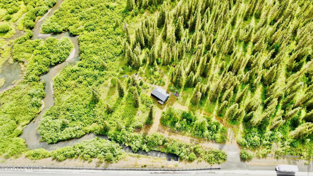 48550 Seward Highway, Moose Pass, 阿拉斯加州 99631, 美國