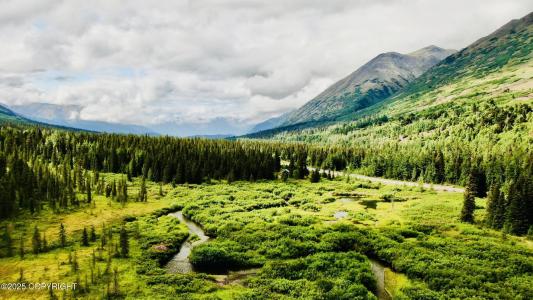 48550 Seward Highway, Moose Pass, 阿拉斯加州 99631, 美國