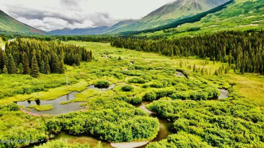 48550 Seward Highway, Moose Pass, 阿拉斯加州 99631, 美國