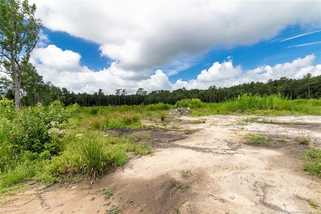 0 Meadow Road Lot #1, Lumberton, North Carolina 28358, HOA KỲ