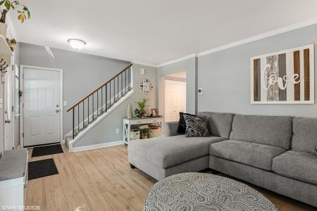 13653 S Jane Circle, Plainfield, Illinois 60544, USA