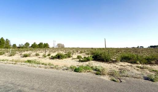 McFarland Road, Carlsbad, Nuevo México 88220, Estados Unidos
